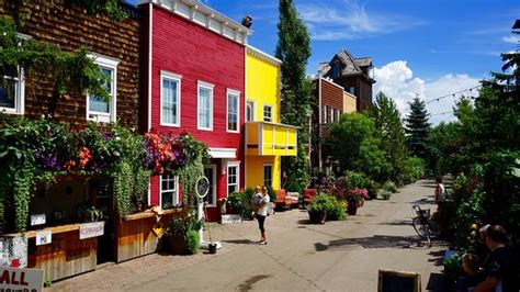 Is there a mexican restaurant at saskatoon farm? The oasis of Alberta - Picture of The Saskatoon Farm Cafe ...