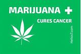 Pictures of Marijuana Oil For Cancer