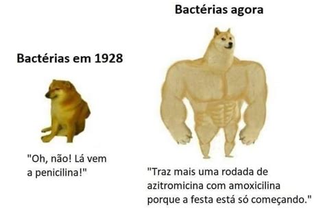 Continue Tomando Antibiótico Errado Humano Meme By Postafoda