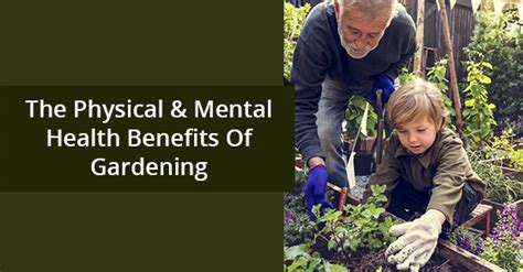 Tend To Your Garden The Physical And Mental Health Benefits Of Gardening