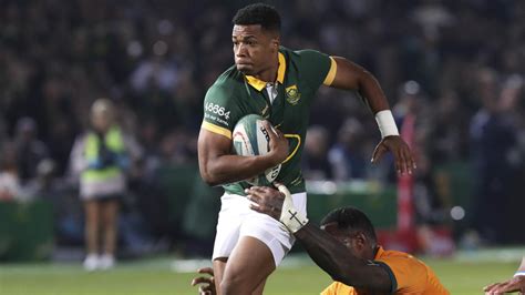 Jacques Nienaber Backing Rookie To Deliver The Goods For Springboks Against Los Pumas