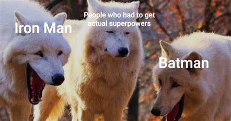 In the original proverb, a grandfather says there are two wolves fighting inside him, an evil one and a good one. These White Wolves Laughing Memes Are Taking Over (20 Pics)