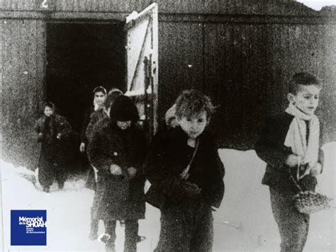 76ème anniversaire de la libération des camps dAuschwitz Birkenau