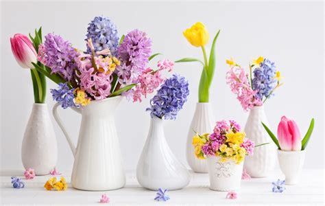 10 Types Of Easter Flowers And Their Flower Meanings Orchidrepublic
