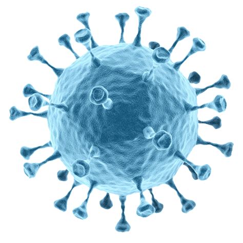 Bacteria Png Clipart Png All