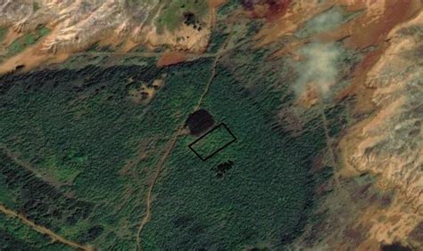 Tropical Dry Forests Of The Pacific Hawaii