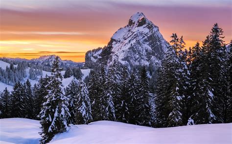 Download Wallpapers Winter Landscape Mountains Sunset Forest Snow