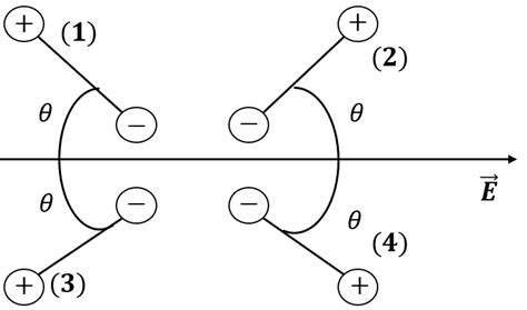 Figure Shows The Electric Field Lines Around An Electric Dipole Which