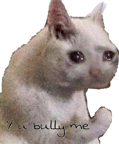 Sad Cat Meme Freetoedit Y U Bully Me Sticker By Robooooooo