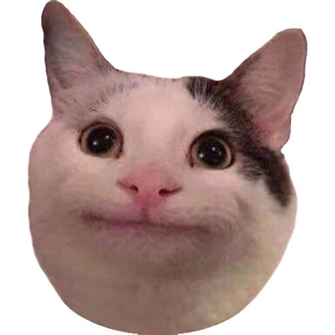 Choro Gato Meme Png Pic Fundo Png Play Vrogue Co