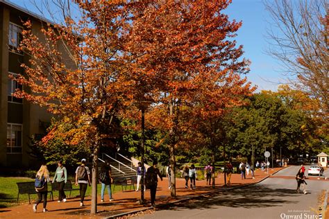 [Photo Story] Fall Foliage Dazzles Happy Valley | Onward State