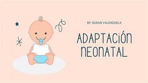 Adaptaci N Neonatal Diapositiva Susan Valenzuela Udocz