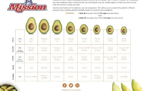 Mission updates avocado guide
