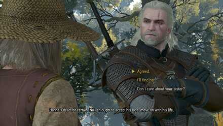 What is the size of the witcher 3? How To Kill Werewolf Witcher 3 Wild At Heart
