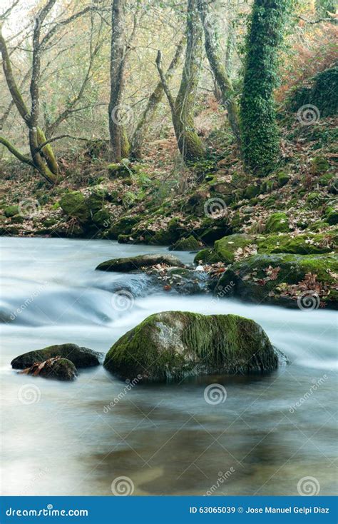 Autumn Landscape With A River Surrounded By Trees Stock Image Image