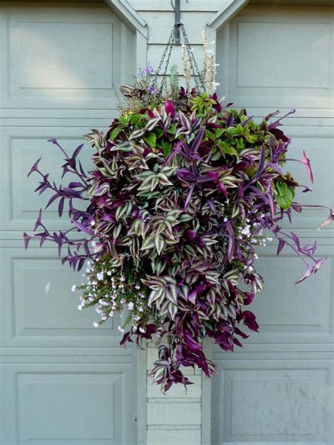 Best Potting Soil At Lowes - best potting soil at lowes
