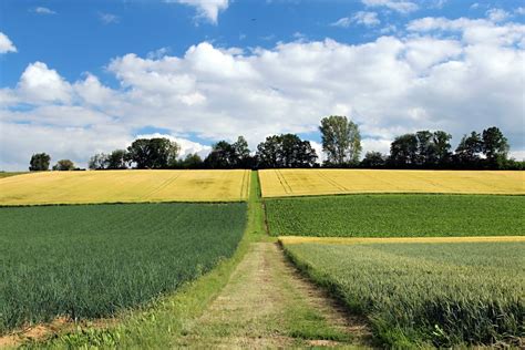 Weg Durch Felder Foto And Bild Landschaft Äcker Felder And Wiesen