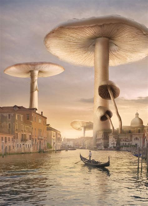 ♂ Dream Imagination Surrealism Surreal Art Venice Mushrooms By Shorra