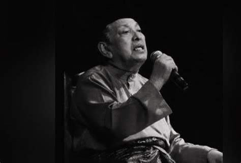 Kenangan lagu dan suasana kampung tradisional melayu mengusik jiwa. SM Salim: Hilangnya suara emas irama Melayu klasik | Astro ...