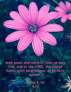 Read chapter in king james version. Pin on Faith - Bible Verses