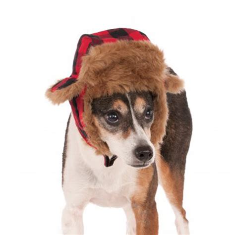 Trapper Dog Hat Costume With Same Day Shipping Baxterboo