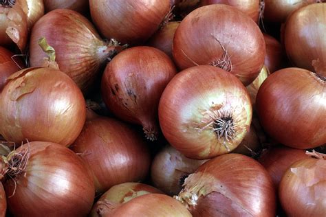 Onions Are Toxic To Your Pets A Moment Of Science Indiana Public Media