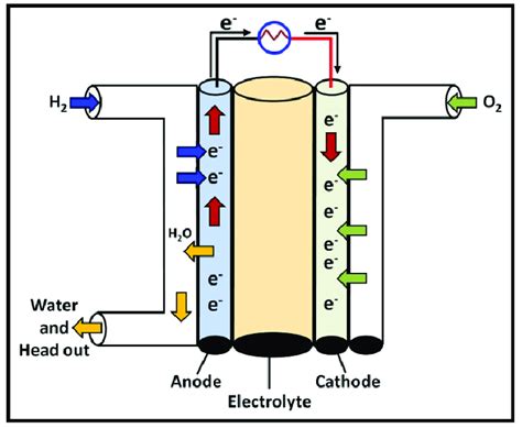 Heutige und zukünftige elektrische wirkungsgrade von kraftwerken auf erdgasbasis 1. Schematic of typical Alkaline Fuel Cell (AFC). | Download ...