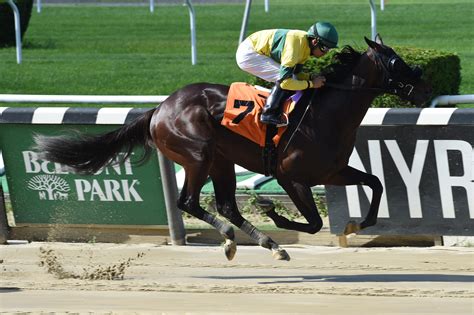 Super Bowl-Winning Coach Bill Parcells Seeks Grade 1 Glory | America's