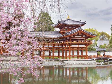 Japanese Temple With Cherry Blossoms