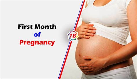 First Month Of Pregnancy Symptoms Child Development And Physical