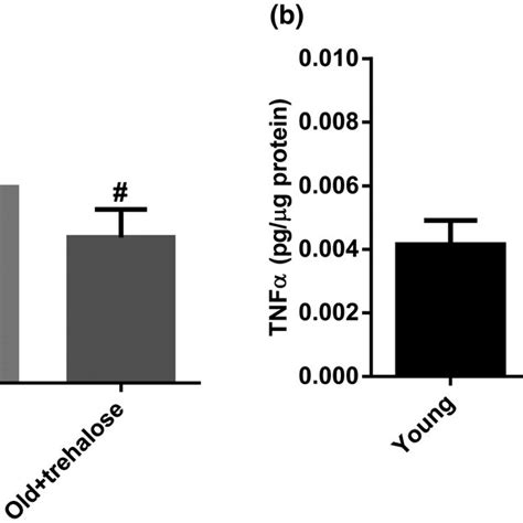 Effect Of Trehalose On A Mrna And B Protein Levels Of Tnfα In The Download Scientific