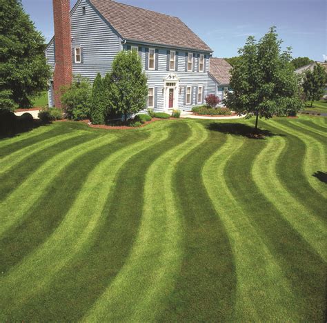 Landscaping Tips How To Create Striping Patterns In Your
