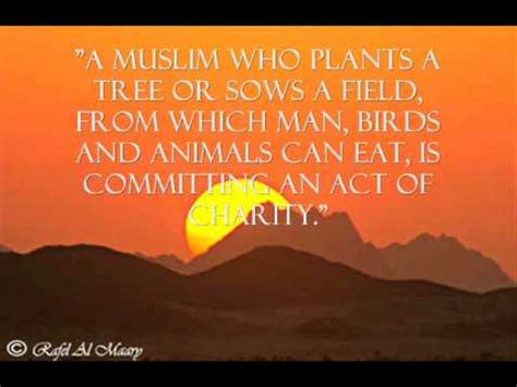 Quranic wisdom, land of heart �. ISLAMIC WORDS OF WISDOM - YouTube