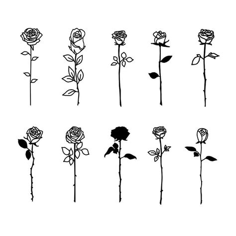 For a simple take on the rose tattoo, choose an outline design without shading or color. See this Instagram photo by @alexroycetattoo • 908 likes ...