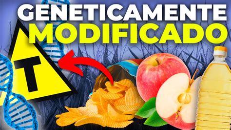 Desvantagens Dos Alimentos Transgenicos