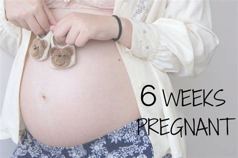 6 Weeks Pregnant Stomach Hiccups Pregnancy