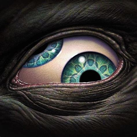 Eye Of Creepy Creature Forum Avatar Profile Photo Id