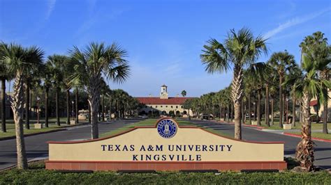 Texas Aandm Kingsville Holds Summer Commencement On August 9th Eagle