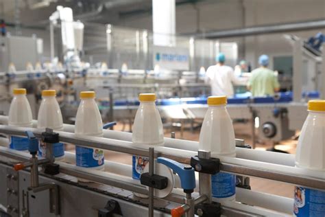 Milk Processing Training Best Place To Improve Your Dairy Production