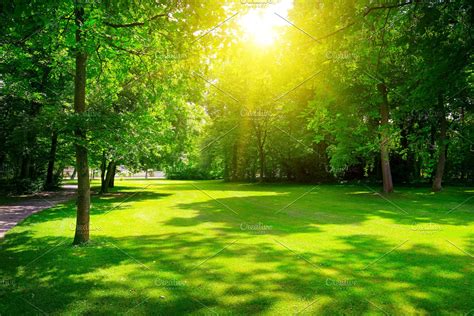 Summer Beautiful Park High Quality Nature Stock Photos Creative Market