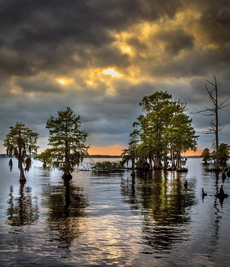 Chowan River By Ed Sanford On 500px Nature Photography River