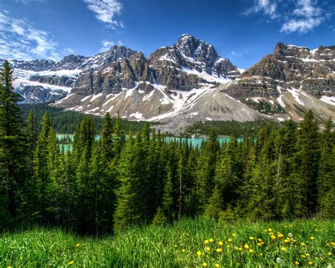 Kanada Natur Landschaft Berge Wald Banff Park 2560x1600 Hd