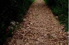 Uncovered The Hidden Path To A Usps Driving Career