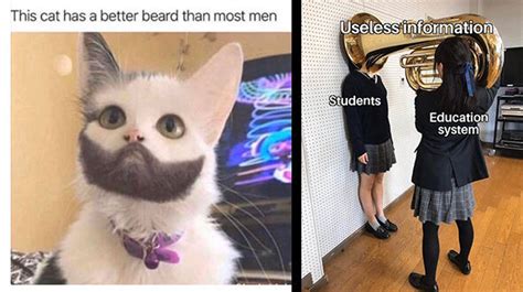 37 Clean Humor Memes Best Clean Funny Picture For Everyone ...