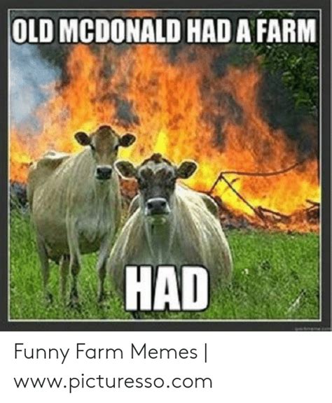 Old Mcdonald Had A Farm Had Funny Farm Memes