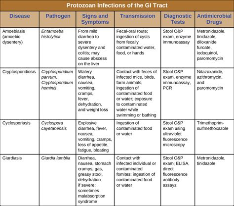 24 5 Protozoan Infections Of The Gastrointestinal Tract Microbiology Openstax Microbiology