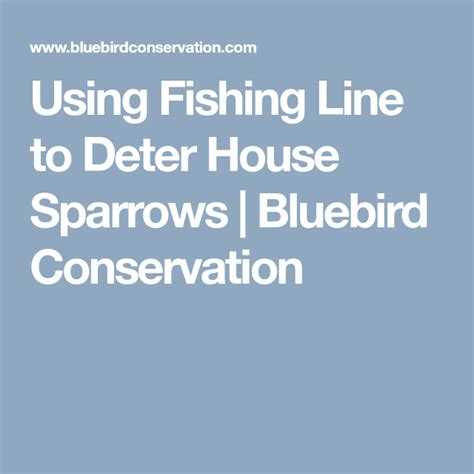 In design #2, the dowels stick out over the nestbox roof in. Using Fishing Line to Deter House Sparrows | Bluebird ...