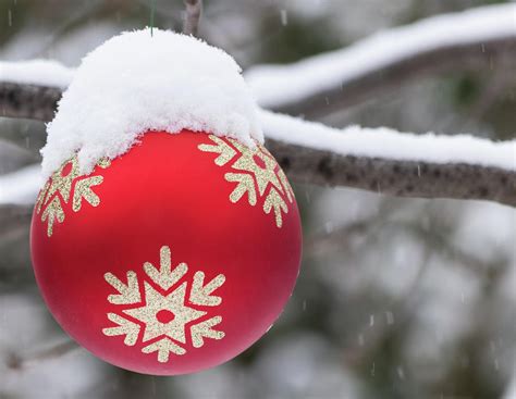 Winter Scene Red Christmas Ball Outside With Snow On It Photograph