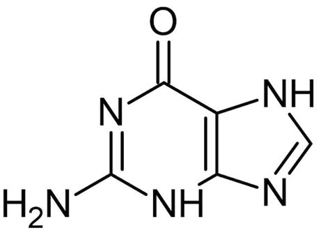 Guanine Nucleobase Cas 73 40 5 Ab146242 Abcam
