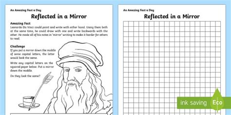 Mirror Reflections Worksheet Teacher Made Twinkl